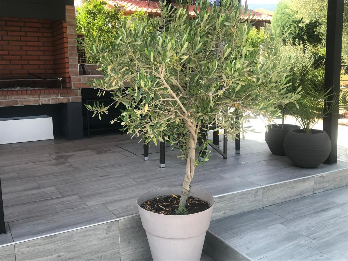 Terra Holiday Homes-Marigold Asprovalta Zewnętrze zdjęcie